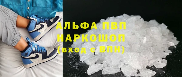сатива Арсеньев
