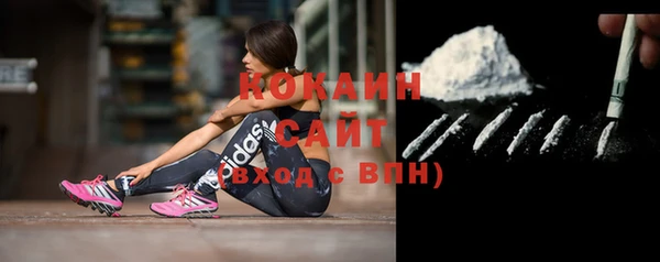 индика Няндома