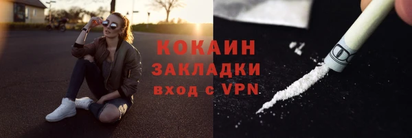 сатива Арсеньев