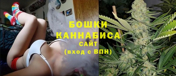 сатива Арсеньев