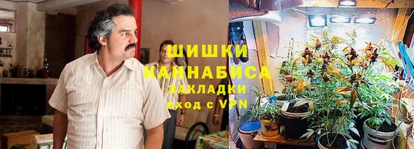 сатива Арсеньев