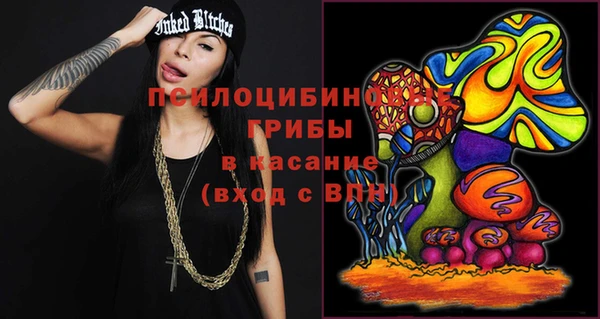 сатива Арсеньев