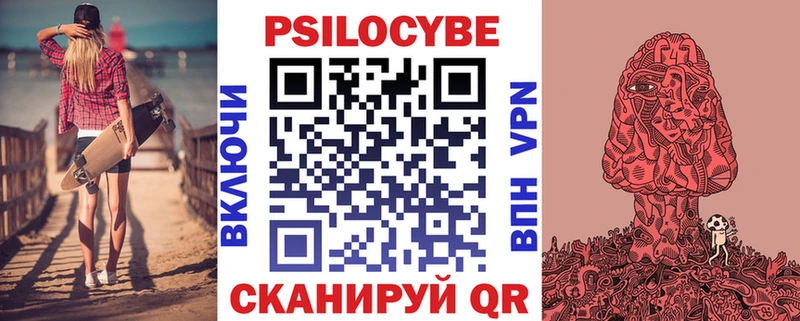 Псилоцибиновые грибы Psilocybe купить Узловая